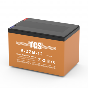 TCS电动车电池6-DZM-12