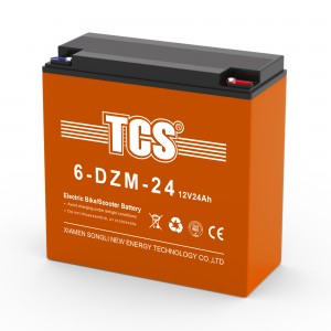 TCS电动车电池 6-DZM-24